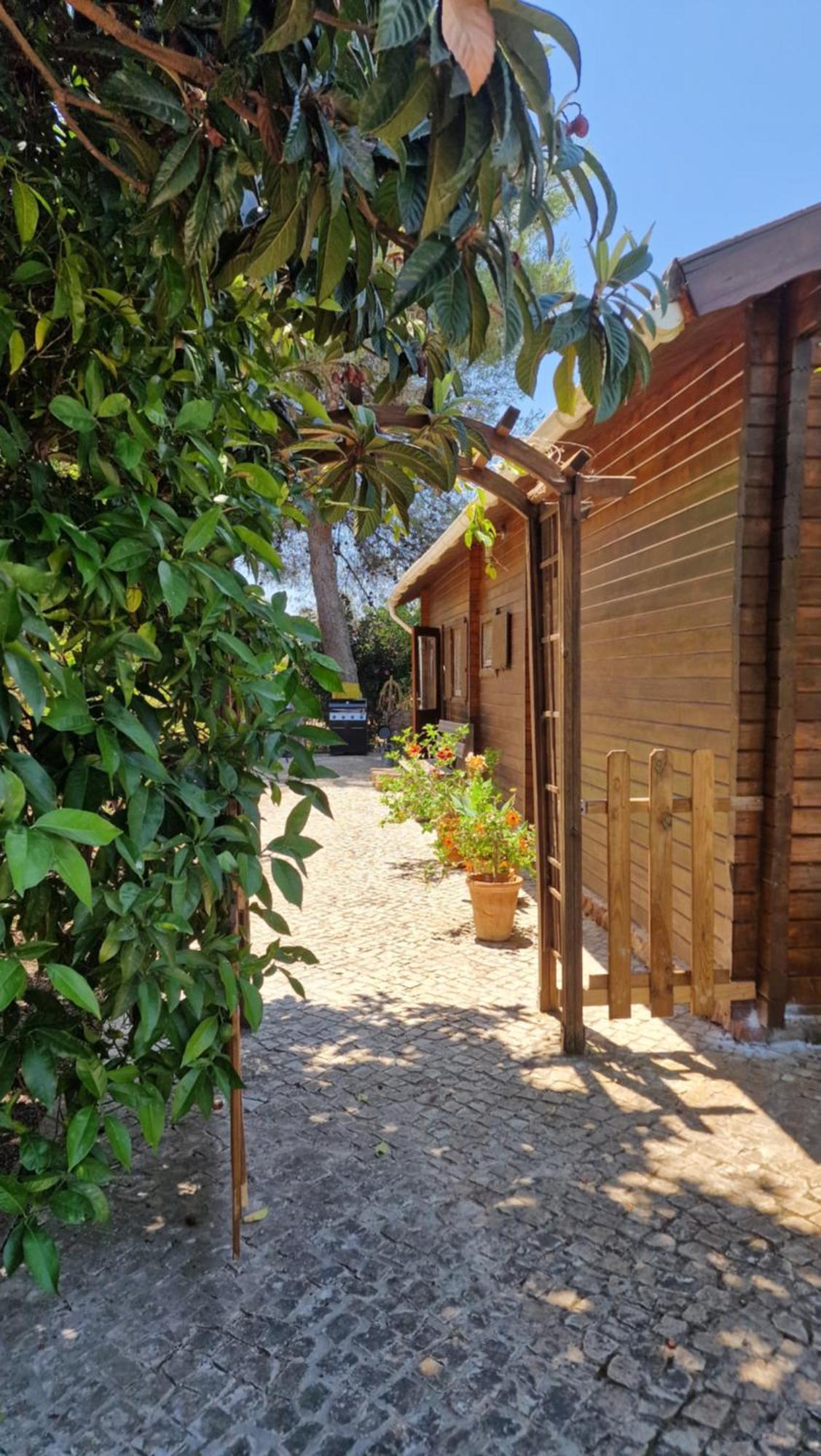 Chalet Villa Mosquito Силвес Екстериор снимка