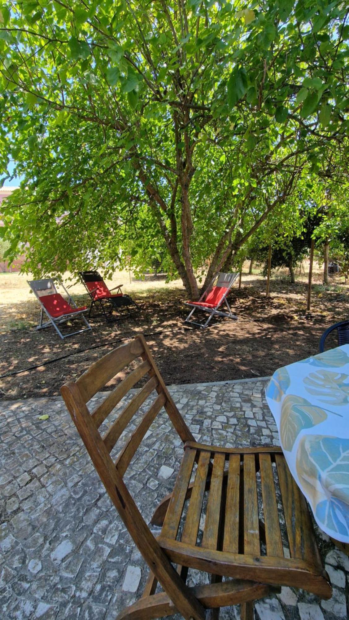 Chalet Villa Mosquito Силвес Екстериор снимка